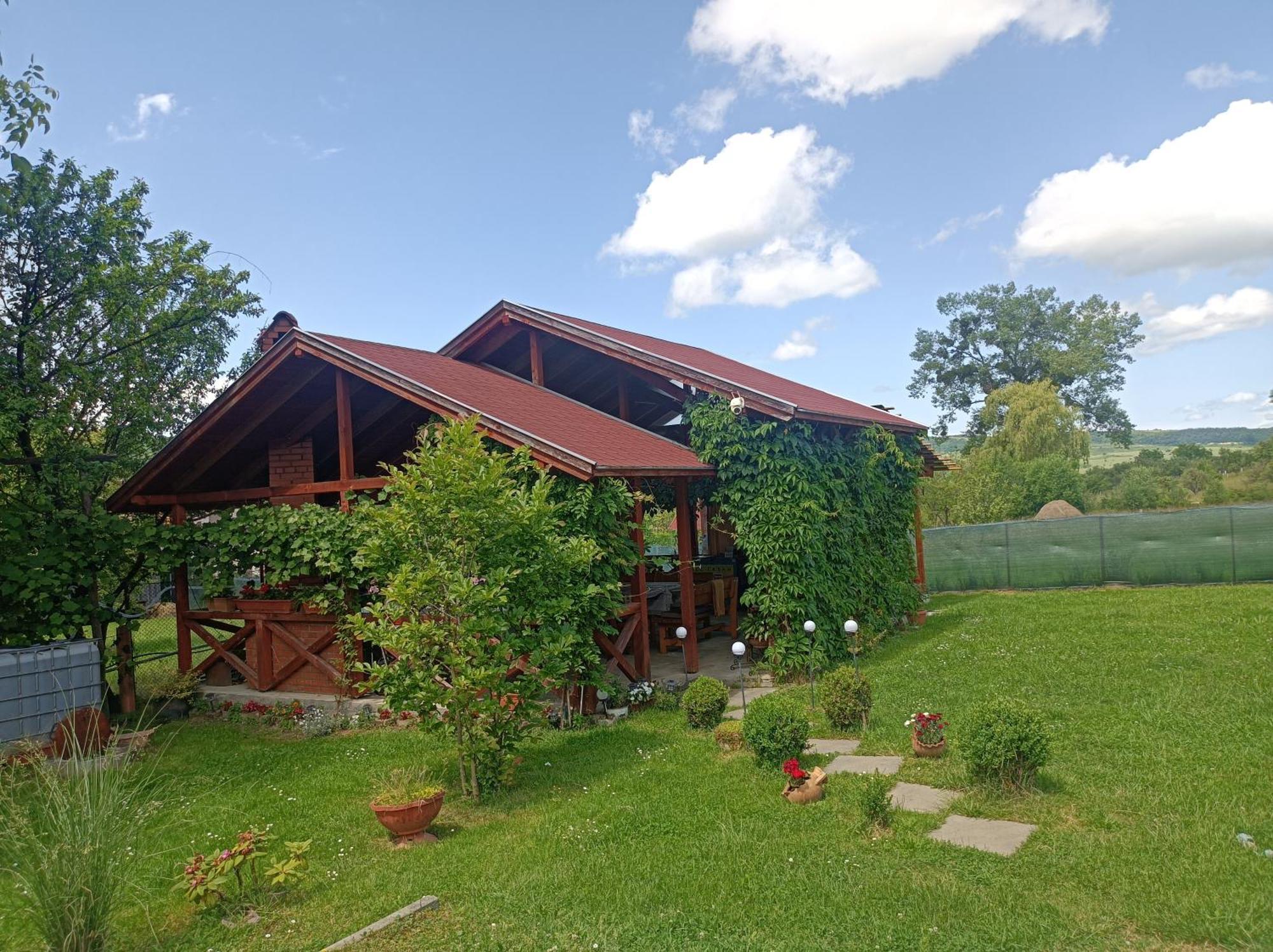 Narcisz B&B Corund  Exteriör bild