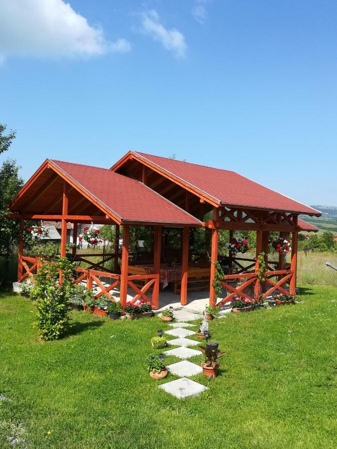 Narcisz B&B Corund  Exteriör bild